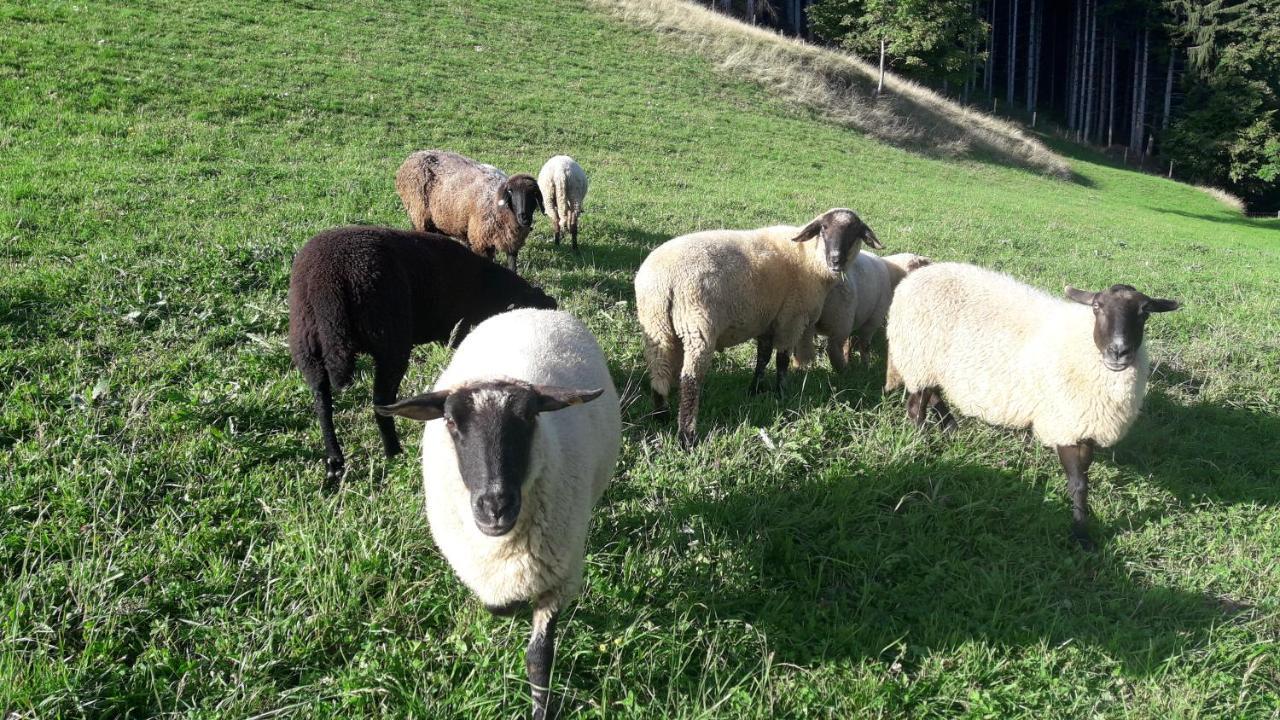 Berghof Familie Steinwender