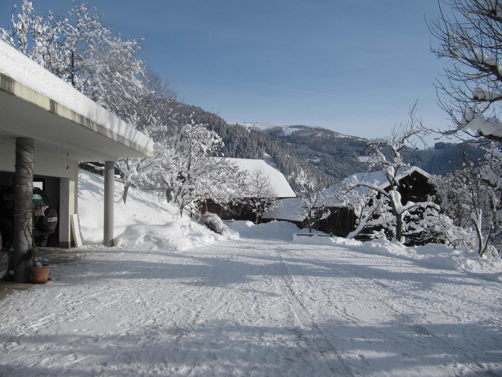 Apartment Berghof Familie Steinwender *