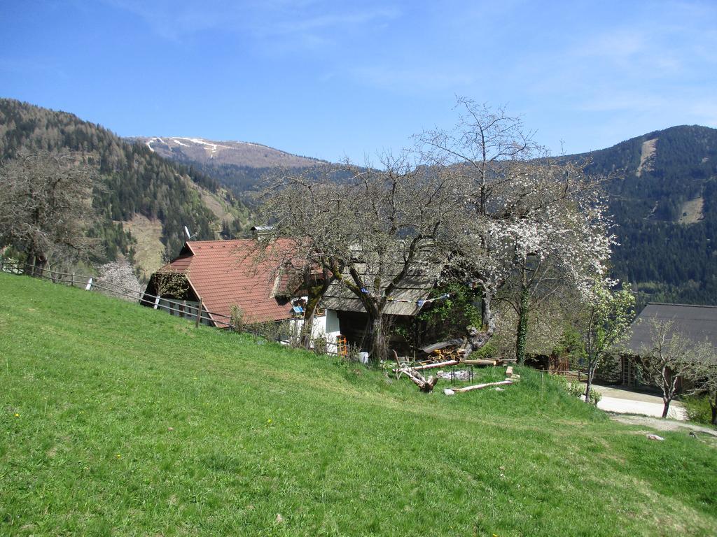 Berghof Familie Steinwender Polling (Villach-Land)