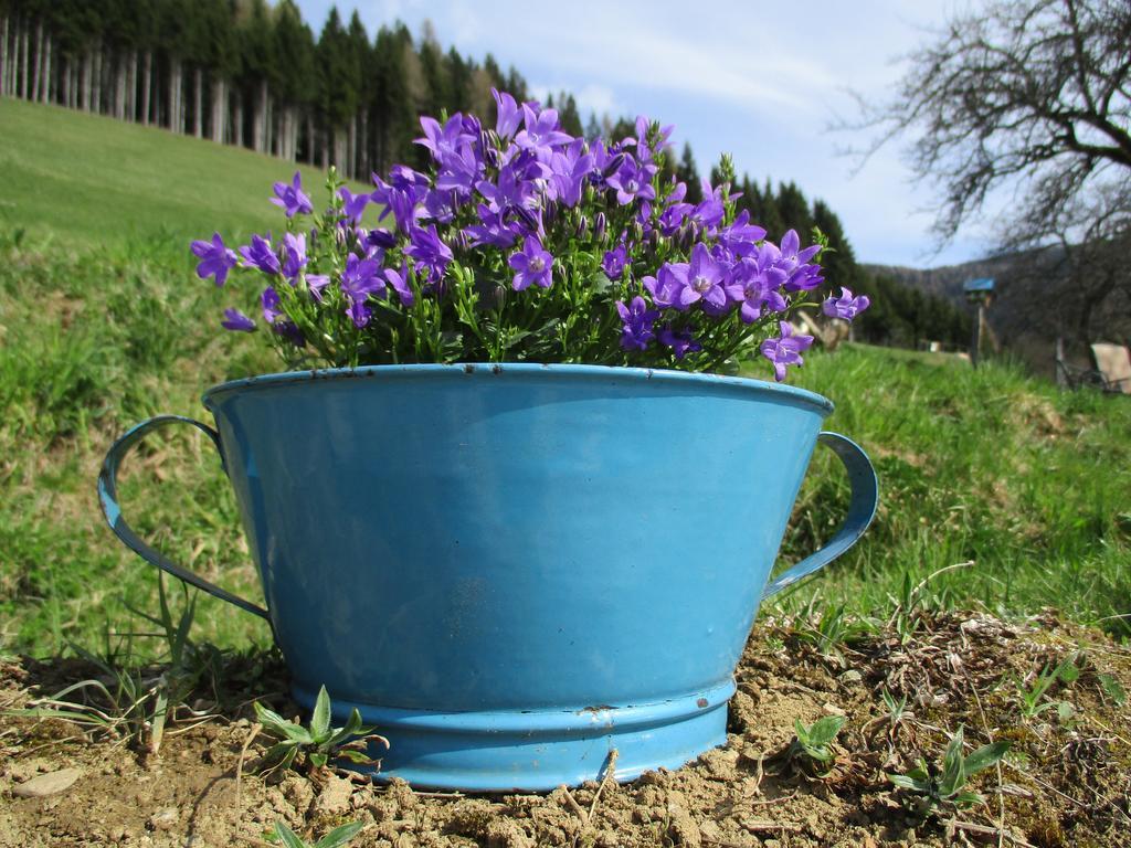 Apartment Berghof Familie Steinwender Polling (Villach-Land)