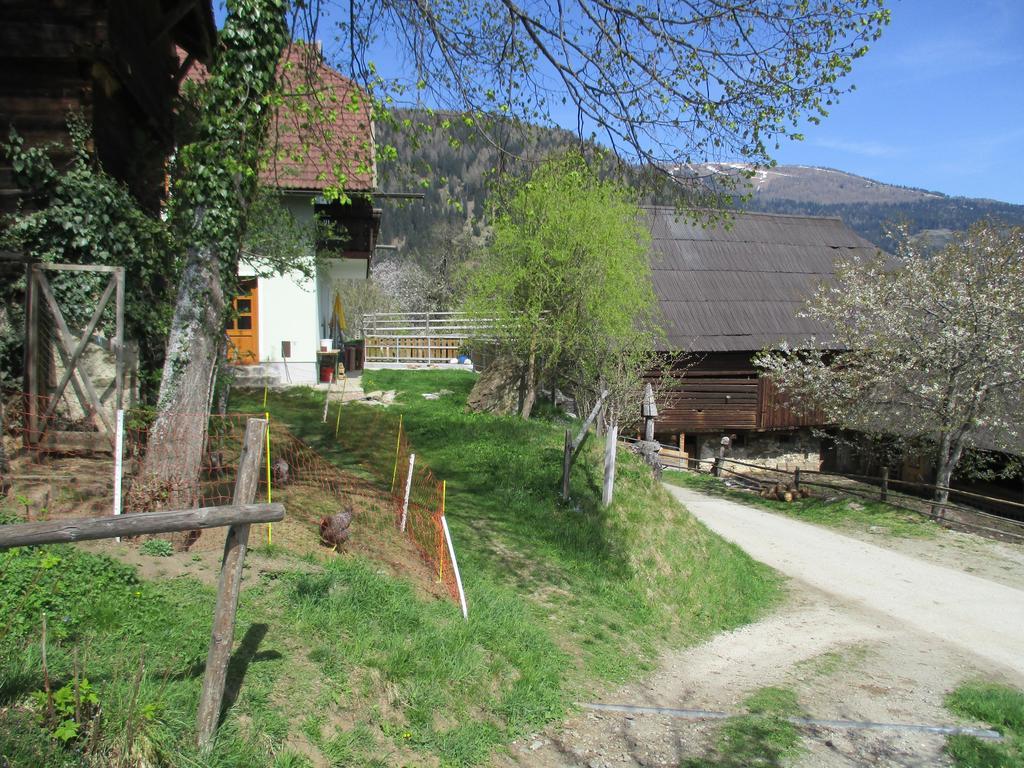 Apartment Berghof Familie Steinwender Polling (Villach-Land)