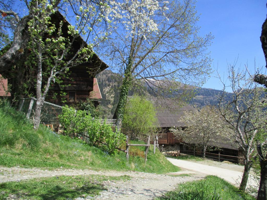 Berghof Familie Steinwender Apartment